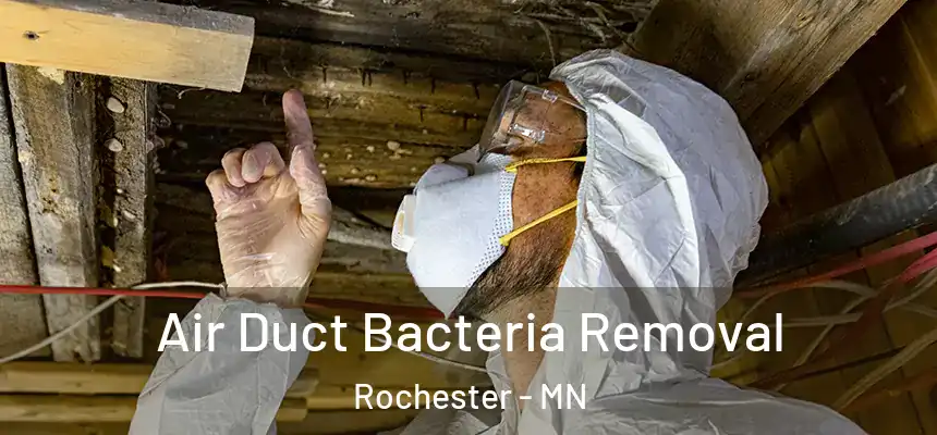 Air Duct Bacteria Removal Rochester - MN
