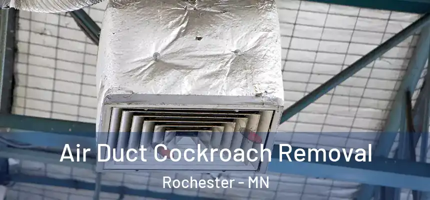 Air Duct Cockroach Removal Rochester - MN