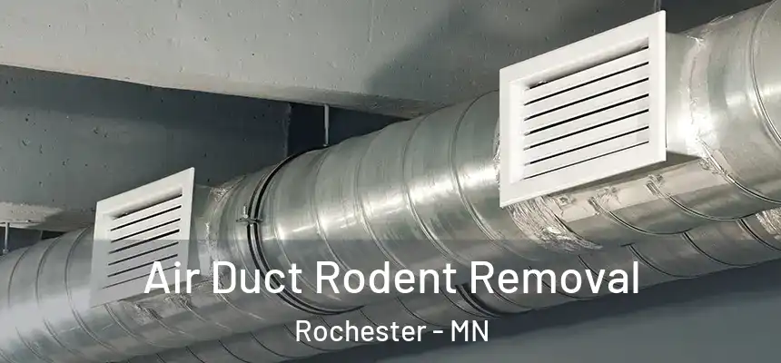 Air Duct Rodent Removal Rochester - MN