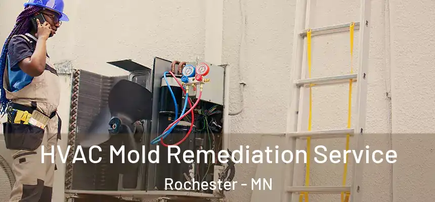 HVAC Mold Remediation Service Rochester - MN