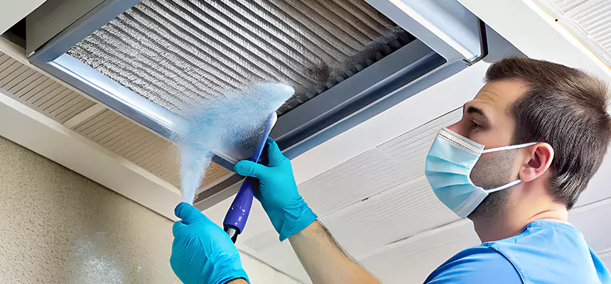 Proactive Dryer Vent & Auxiliary Duct Pollen Cleanup in Rochester, MN