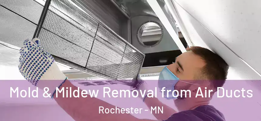 Mold & Mildew Removal from Air Ducts Rochester - MN
