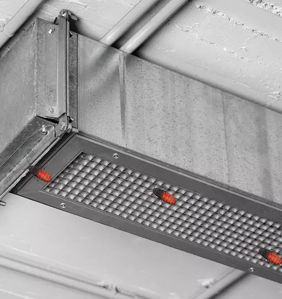Affordable Insect Removal from Air Ducts in Rochester, MN