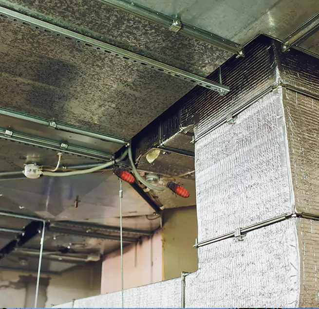 Why Homeowners & Businesses Trust Us in Rochester, MN?