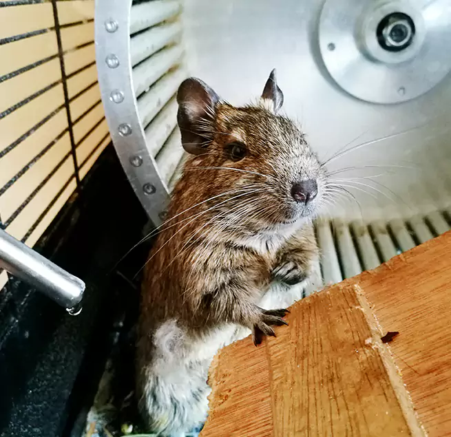 Why Homeowners & Businesses Trust Us Rochester, MN?