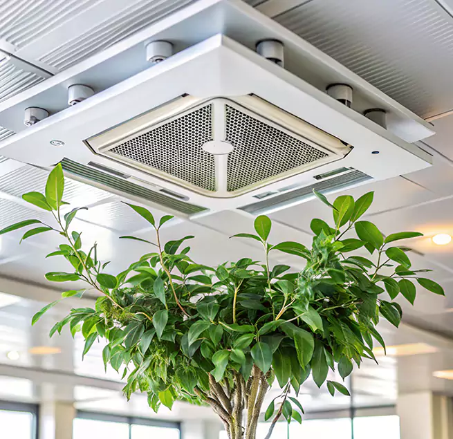 Why Homeowners & Businesses Trust Us in Rochester, MN?