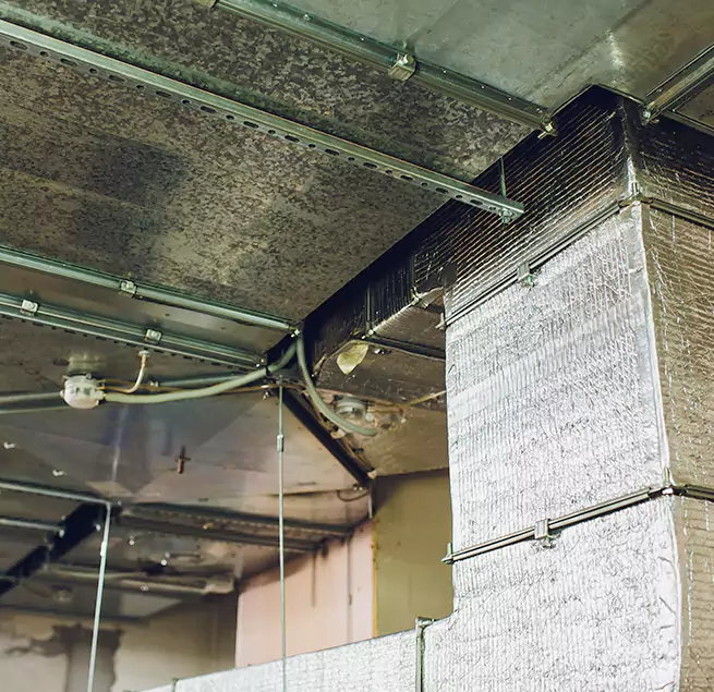 Why Homeowners & Businesses Trust Us in Rochester, MN?